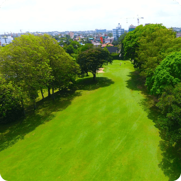 Golfer near clubhouse