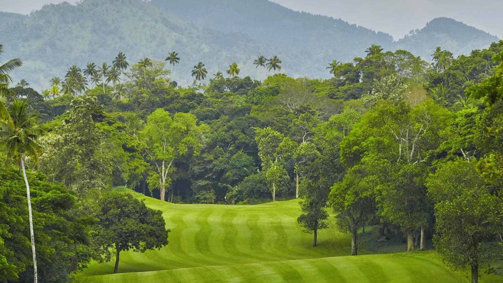 Golfer swinging on a beautiful golf course