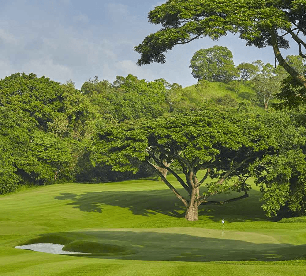 Golfer near clubhouse