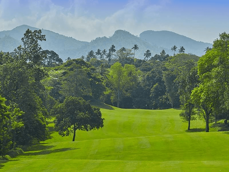 Golfer near clubhouse